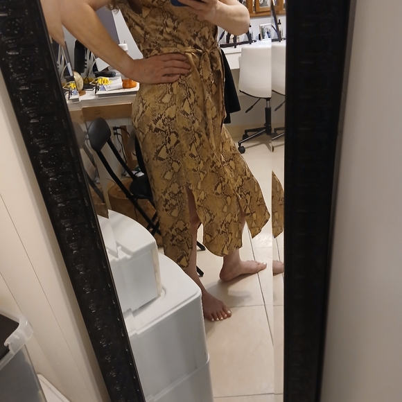 Beautiful Silk Snake Print Button Down Never wore Brand New! - Picture 11 of 12